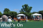 News and Events